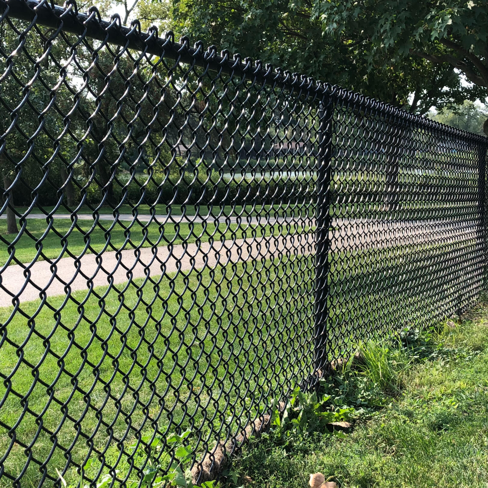 chain link fence roselle fence company illinois